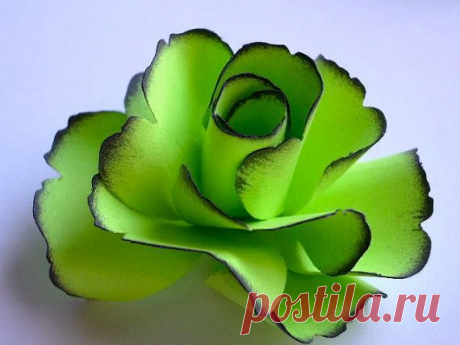 The Rose Handmade Paper Flower - Lime Green - (Set of 5)