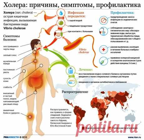 Холера причины, симптомы, профилактика