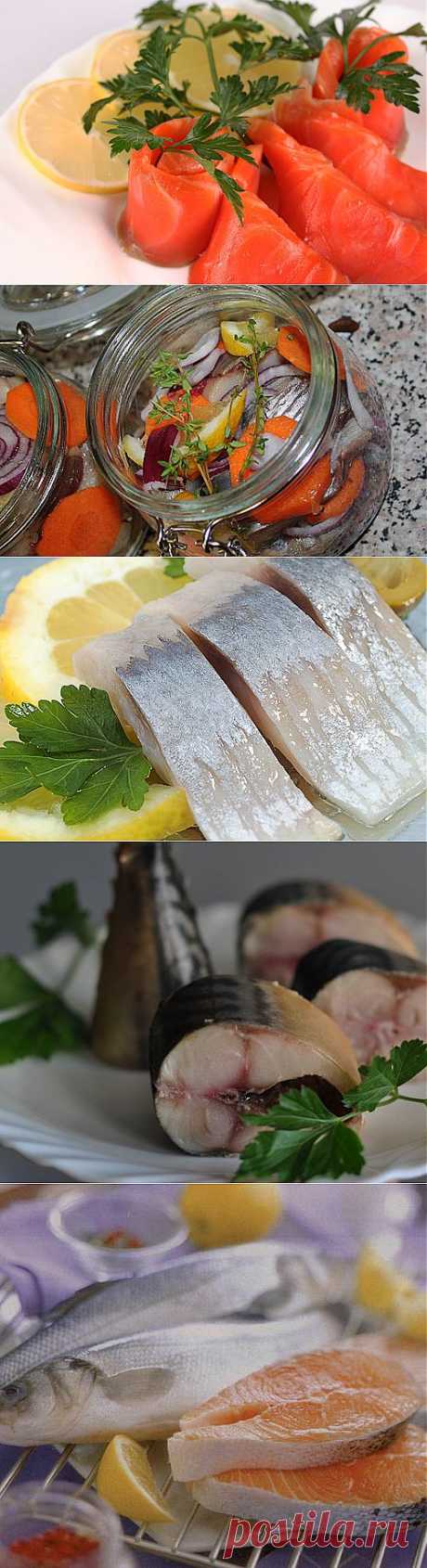 9 вкусных маринадов для рыбы | ЖЕНСКИЙ МИР