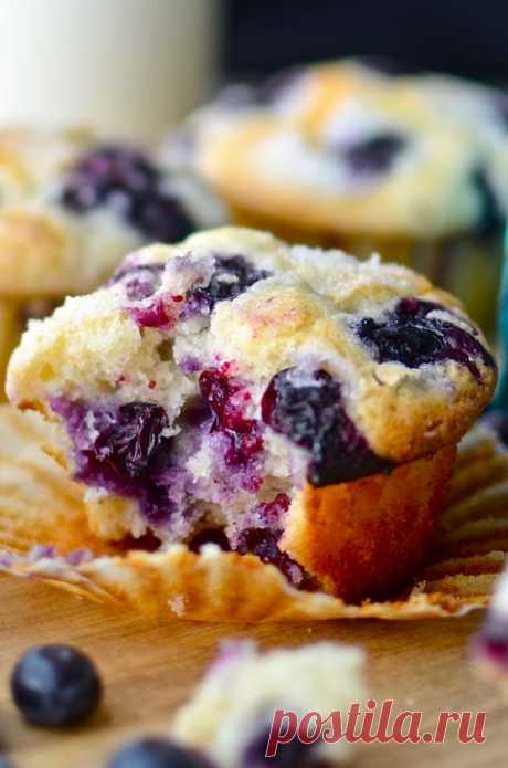 Yammie's Noshery: The Best Blueberry Muffins Ever