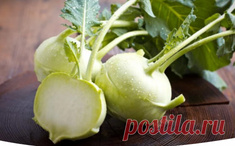 Выращивание кольраби - вкусного и полезного овоща