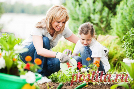 Маленькие секреты садовода | Женский журнал