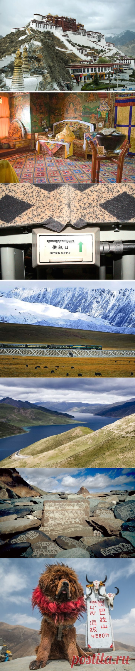 25+ снимков из завораживающего Тибета / Туристический спутник