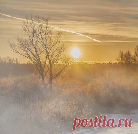 &quot;Зимнее солнце, волшебное солнце...&quot; Фотохудожник Олег Богданов.