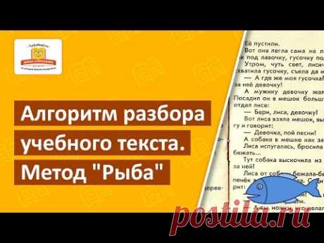 Алгоритм работы с учебным текстом. Метод «Рыба» | Шамиль Ахмадуллин. Личный блог