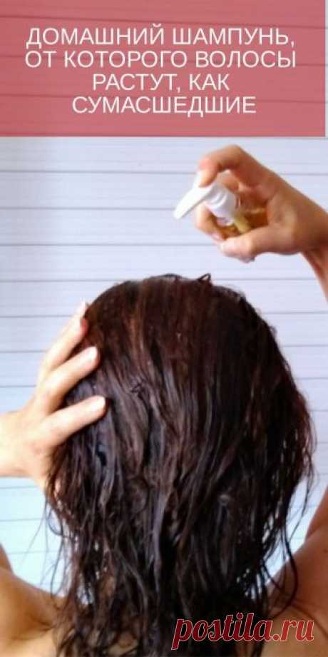 Домашний шампунь, от которого волосы растут, как сумасшедшие! | Feliscope