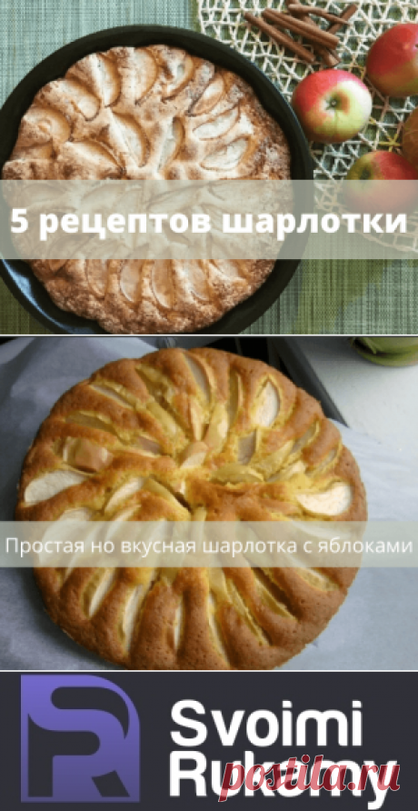 5 рецептов шарлотки с яблоками в духовке: быстро, просто и вкусно
Очень вкусное и любимое лакомство многих - шарлотка. Сегодня мы рассмотрим разные рецепты от лучших домохозяек. Подписывайтесь!