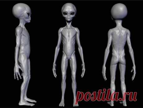 ArtStation - Realistic Aliens sculpt, Oleg Egorov