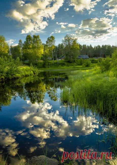 Вечер на Пигоме - реке...
Вологодская область. 📷 Федор Кованский