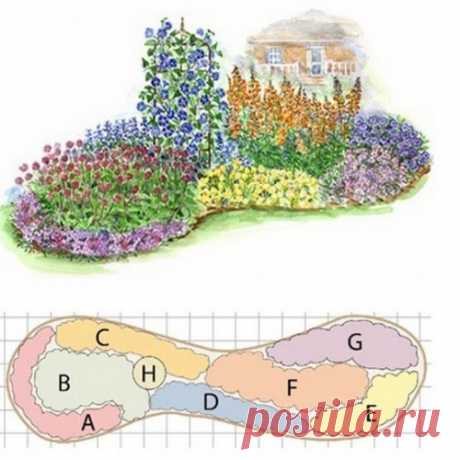 Клумба из однолетников, не требующая ухода