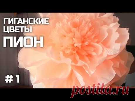 Ростовые цветы. Пион из бумаги. Часть I / Giant Flower | Giant Paper Peony | Part 1