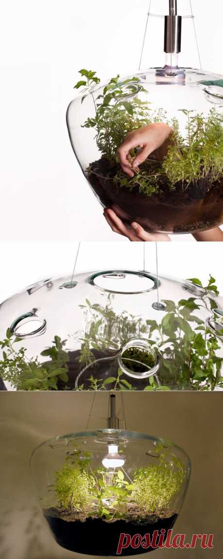 Потолочный светильник Greenhouse с растениями от Krstyna Pojerova | HandMade Idea