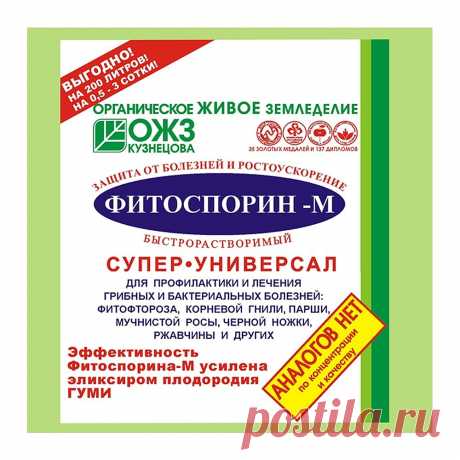 Почему не работает "Фитоспорин"? | Хочу на дачу! | Яндекс Дзен