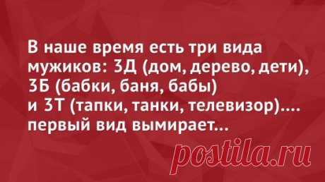 Картинки с юмором: прикольные надписи и фразы | В темпі життя