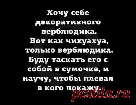 17 разрывных анекдотов для отличного настроя Каждому из нас иногда хочется на минутку отвлечься от повседневной рутины. 
Для этого можно провести время в приятной компании или порадовать себя покупкой, о которой давно мечтали или съесть вкусный ...