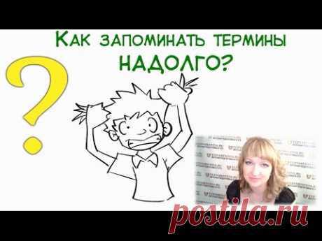 Как запоминать термины надолго?! Обществознание