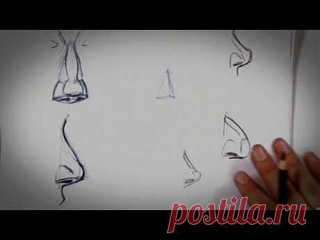 How to Draw a Nose | Drawing Tips - YouTube