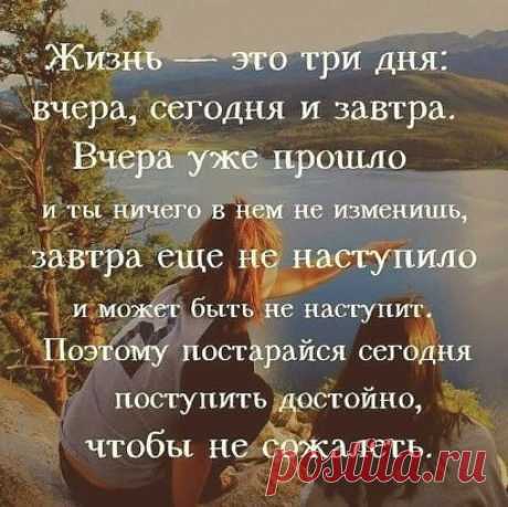 "Я часто задаю вопрос: если ты сегодня вечером умрёшь, завтра что будешь делать? Как твои планы, как твои ссоры, как твоя месть, как желание что-то купить или что-то продать – это всё куда? А это, оказывается, совсем не нужно... ". Протоиерей Димитрий Смирнов