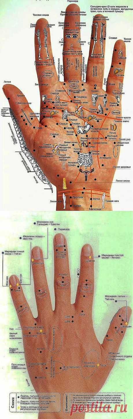 Болезни человека на его руках. Обсуждение на LiveInternet - Российский Серви | рецепты