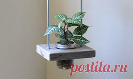 Great Jar Bonsai Idea