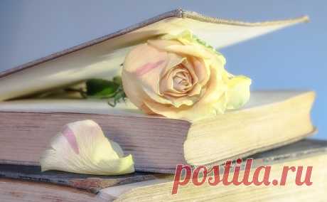 Бесплатные фото на Pixabay - Роуз, Книга, Старая Книга, Цвести