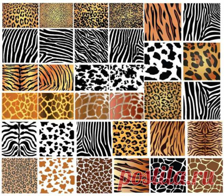 Animal Skin Patterns@无梦激情采集到huawen(405图)_花瓣手工/布艺