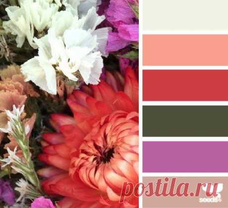 Design Seeds® | find your palette