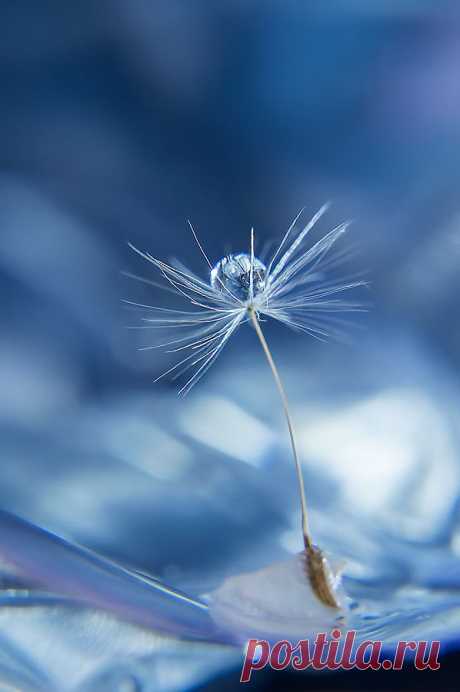 500px / Tears of wind by taehti