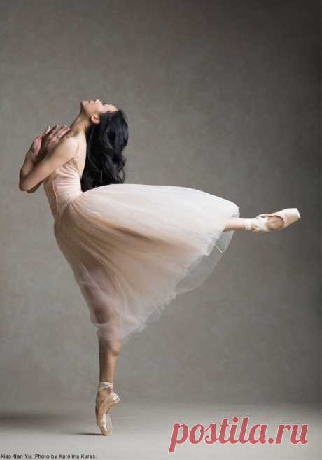 nationalballet:
“Meet a Dancer: Principal Dancer Xiao Nan Yu was born in Dalian, China and joined The National Ballet of Canada in 1996. Catch Nan onstage during the 2015/16 season which opens with...