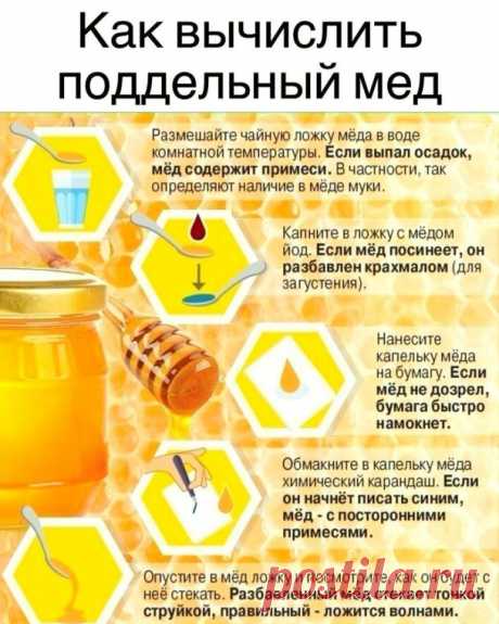 Выявляем фальсифицированный мед — Полезные советы