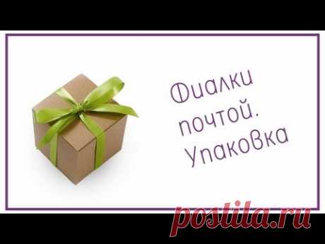 Фиалки почтой. Упаковка