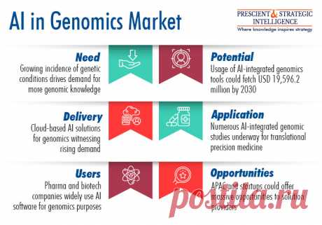 The total value of AI in the genomics market was USD 519.0 million in 2021, and it will rise at a growth rate of above 49.7% in the near future, to reach USD 19,596.2 million by 2030, according to P&amp;S Intelligence.

This growth can be ascribed to the growing size of genomics research information sets, the rise of startups in the field, and wide R&amp;D activities. Genomics study is projected to produce an amazing quantity of data, of 2 to 40 exabytes, in the coming decade.