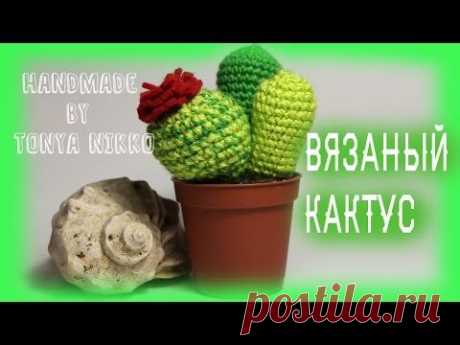 ВЯЗАНИЕ КРЮЧКОМ - КАКТУС || Crochet cactus - YouTube
