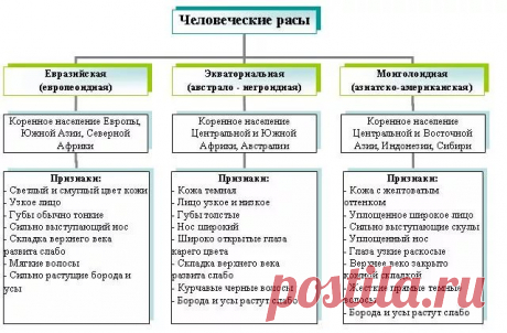 в чем схожесть украинца с азиатом: 14 тыс изображений найдено в Яндекс.Картинках