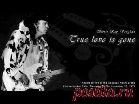 Stevie Ray Vaughan · &quot;True Love Is Gone&quot; · Special songs ♫