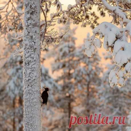 Праздники – 24 Января • День рождения баночного пива • Международный день эскимо (International Eskimo Pie Day) • Всемирный день смеха от живота (Global Belly Laugh Day) • Международный день образования (International Day of Education) • День примерки морозного кружева • День памяти преподобного Феодосия Великого • День памяти жертв политических репрессий казачества • День осведомлённости о синдроме Мёбиуса (Moebius Syndrome Awareness Day) • Международный день женского спорта (International…