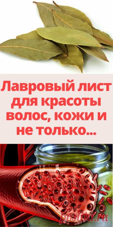 Лавровый лист для красоты волос, кожи и не только...