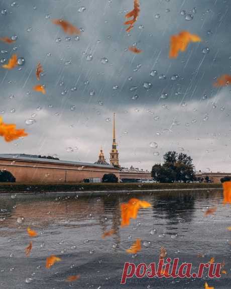 Плювиофил - человек, который любит дождь во всех его проявлениях: запах мокрых улиц, звук капель по крыше и дорожки на стекле, влажный воздух, серое, низкое небо.

Автор фото: andrei_mikhailov