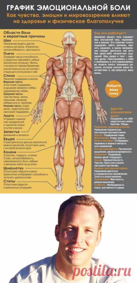 Эффект негативных эмоций на ваше здоровье - Блог | «Энергия Ци» | Блог | «Энергия Ци»