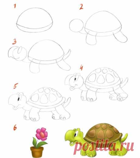 Учимся рисовать черепаху — урок для детей - как нарисовать черепаху карандашом поэтапно и разукрасить в цвета — Частные Заметки