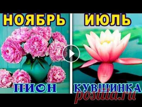 КАКОЙ ТЫ ЦВЕТОК ПО ДАТЕ РОЖДЕНИЯ. Цветочный Гороскоп. Какой ты Цветок по Знаку Зодиака Какой ты цветок по знаку зодиака Каждая девушка на самом деле — нежный цветочек. Ну или не нежный, а колючий и ядовитый. Это смотря под каким знаком о...