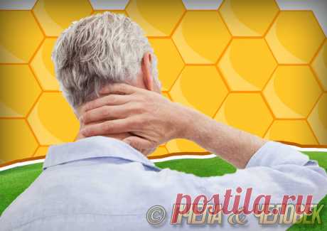 Секрет дедушки Саши от боли в суставах | Пчела & Человек | Яндекс Дзен