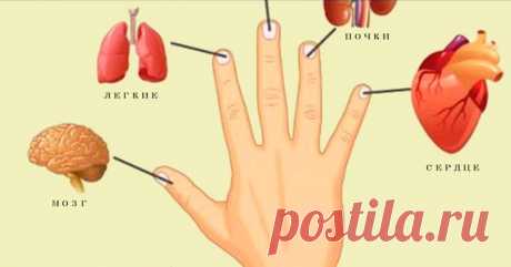 Каждый палец связан с 2 органами: Японский метод самоисцеления за 5 минут