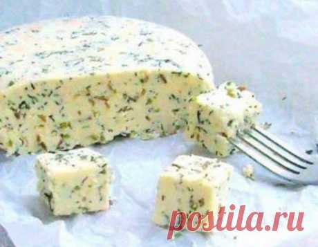 Ароматный домашний сыр | Домашняя кулинария