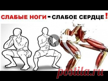 Слабые ноги - слабое сердце ! Что приседания дают сердцу ? Сердце это тоже мышца . Миокард мышечная ткань сердца это своеобразный насос, который работает автоматически , ведь мы даже не задумываемся о его рабо...