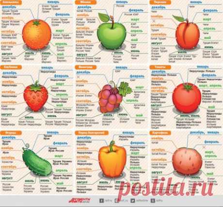 Когда созревают овощи и фрукты в разных странах? Инфографика | Полезные инструкции от aif.ru