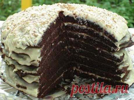 Шоколадный торт &quot;Минутка&quot; -  zaripowa.aniuta — я.ру