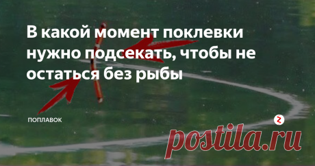 В какой момент поклевки нужно подсекать, чтобы не остаться без рыбы Это должен знать каждый рыболов...