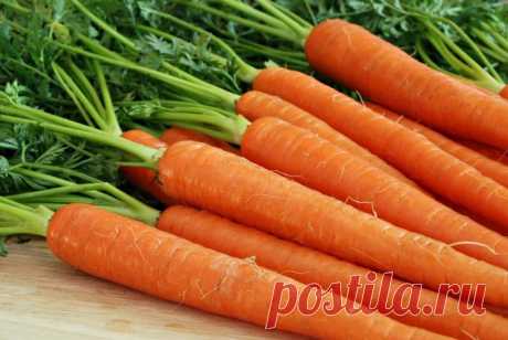 Морковь: польза, рецепты народной медицины.