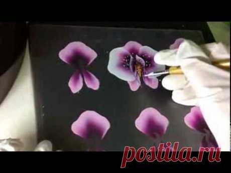 One Stroke Orchidee * Primadonna * Carmen Gulino
